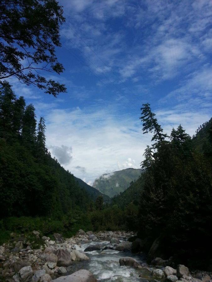 Tirthan Anglers' Retreat Banjār Esterno foto