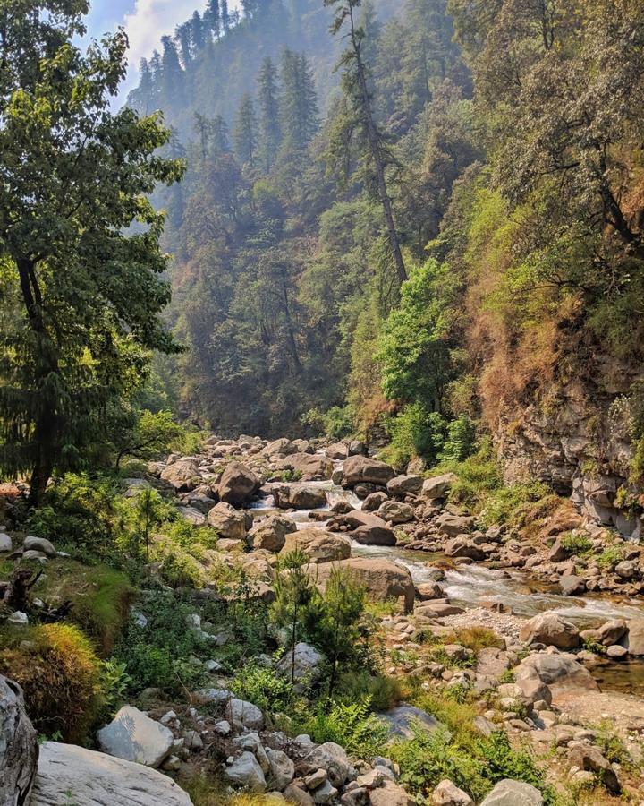 Tirthan Anglers' Retreat Banjār Esterno foto